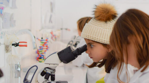 green-stone-school-science-lab-12